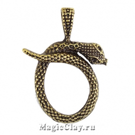 Подвеска Змея 36х30мм, цвет бронза, 1шт