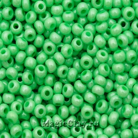 Бисер чешский 10/0 Пастельные тона, 16156 Green, 41гр